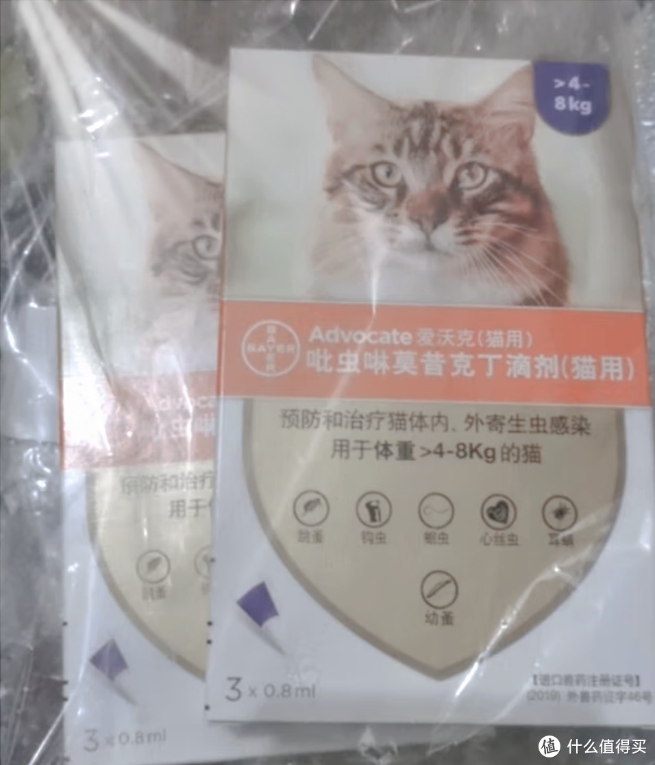 养猫家庭必备的驱虫药