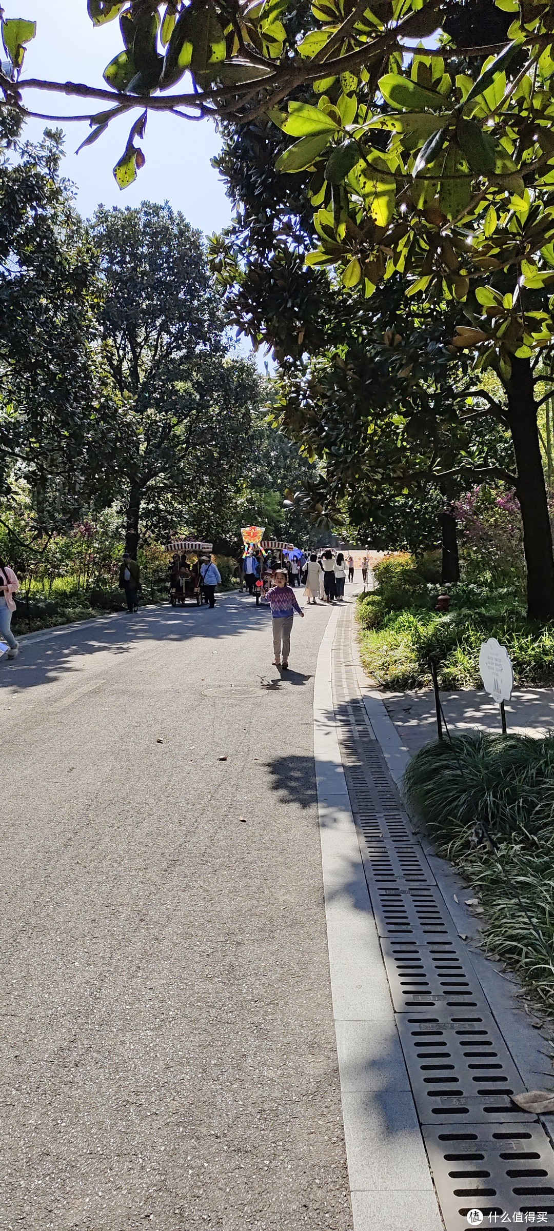 轻装上阵，植物园春游/露营🏕体验/上海龙吴路植物园游记攻略/春日游记/园林赏花看风景