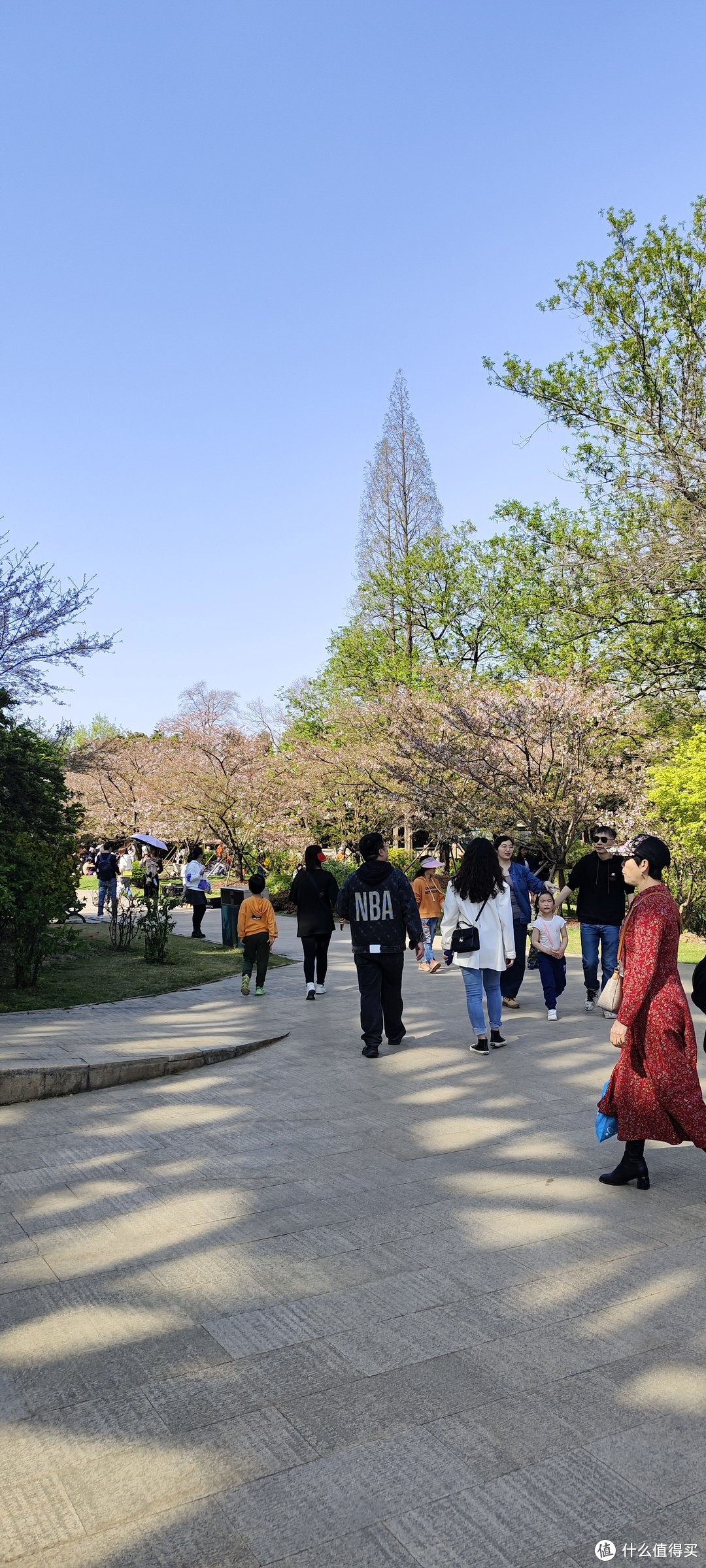 轻装上阵，植物园春游/露营🏕体验/上海龙吴路植物园游记攻略/春日游记/园林赏花看风景