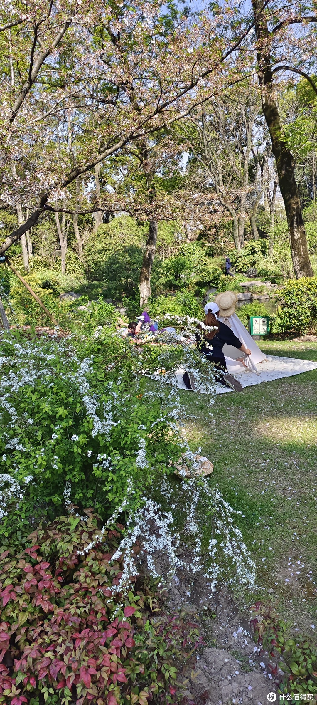 轻装上阵，植物园春游/露营🏕体验/上海龙吴路植物园游记攻略/春日游记/园林赏花看风景