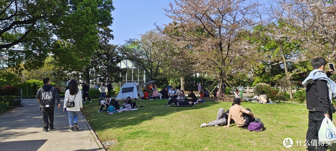 轻装上阵，植物园春游/露营🏕体验/上海龙吴路植物园游记攻略/春日游记/园林赏花看风景