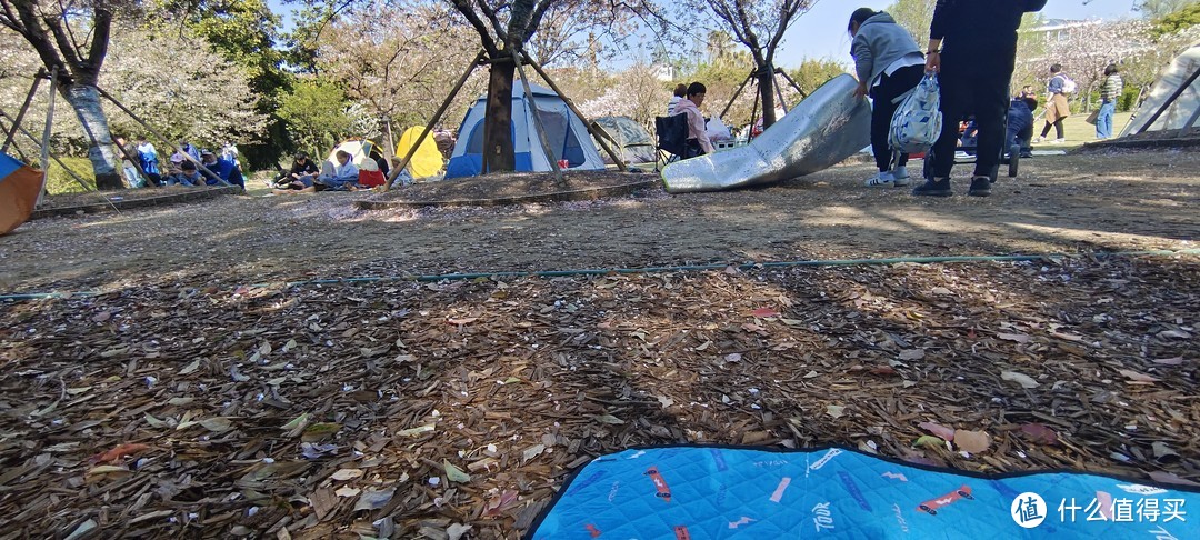 轻装上阵，植物园春游/露营🏕体验/上海龙吴路植物园游记攻略/春日游记/园林赏花看风景