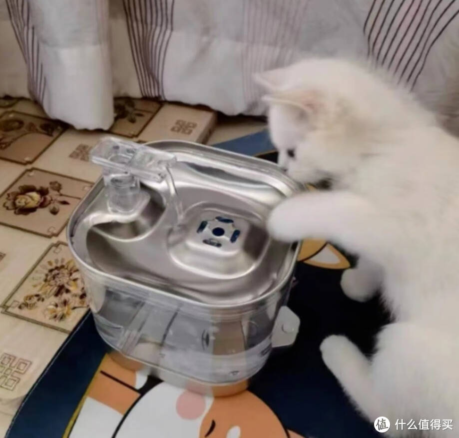 智能饮水机，让猫咪饮水量翻倍