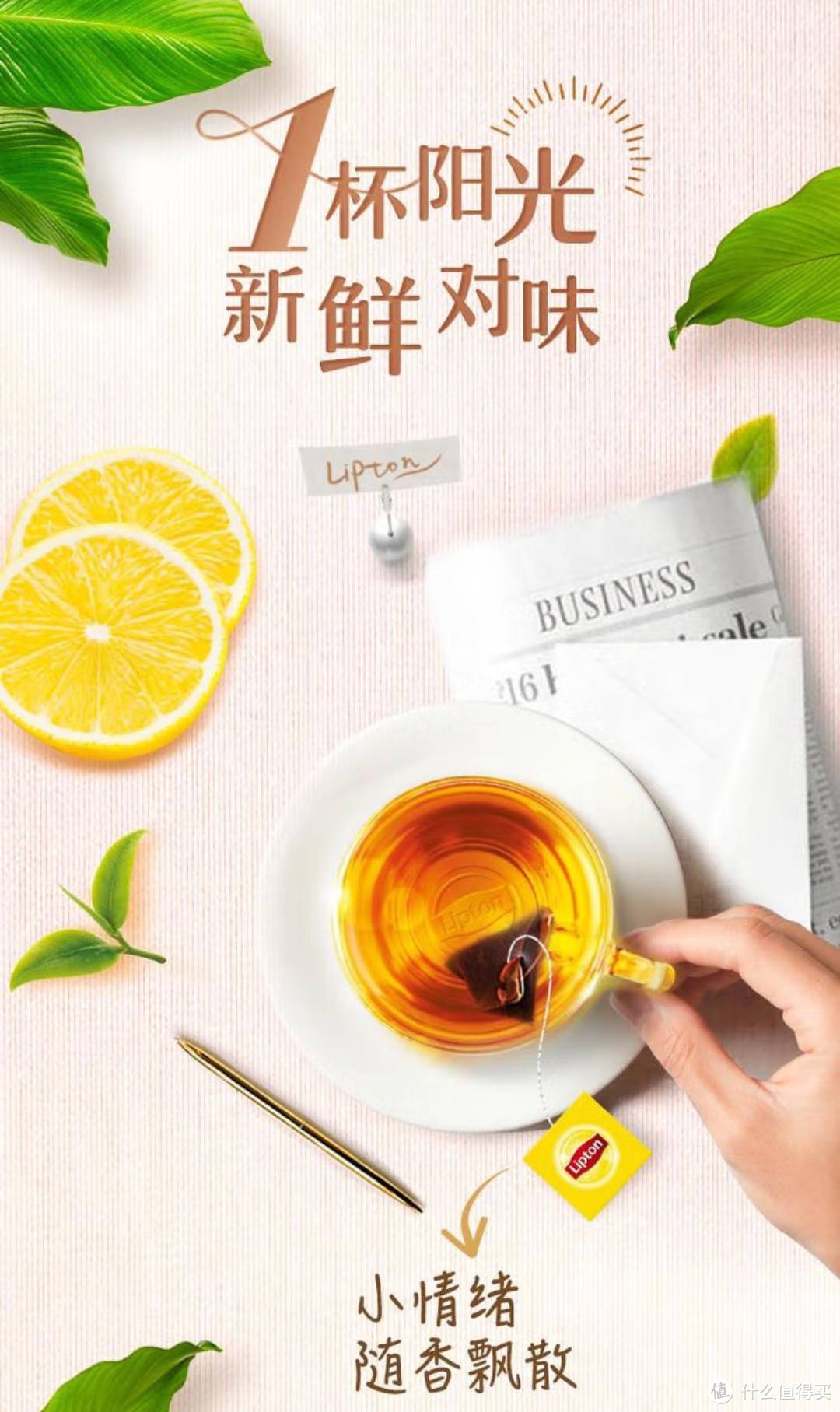 作为喝茶入门产品，袋泡茶产品简单介绍，适合收藏，看看产品在适合怎样饮用。