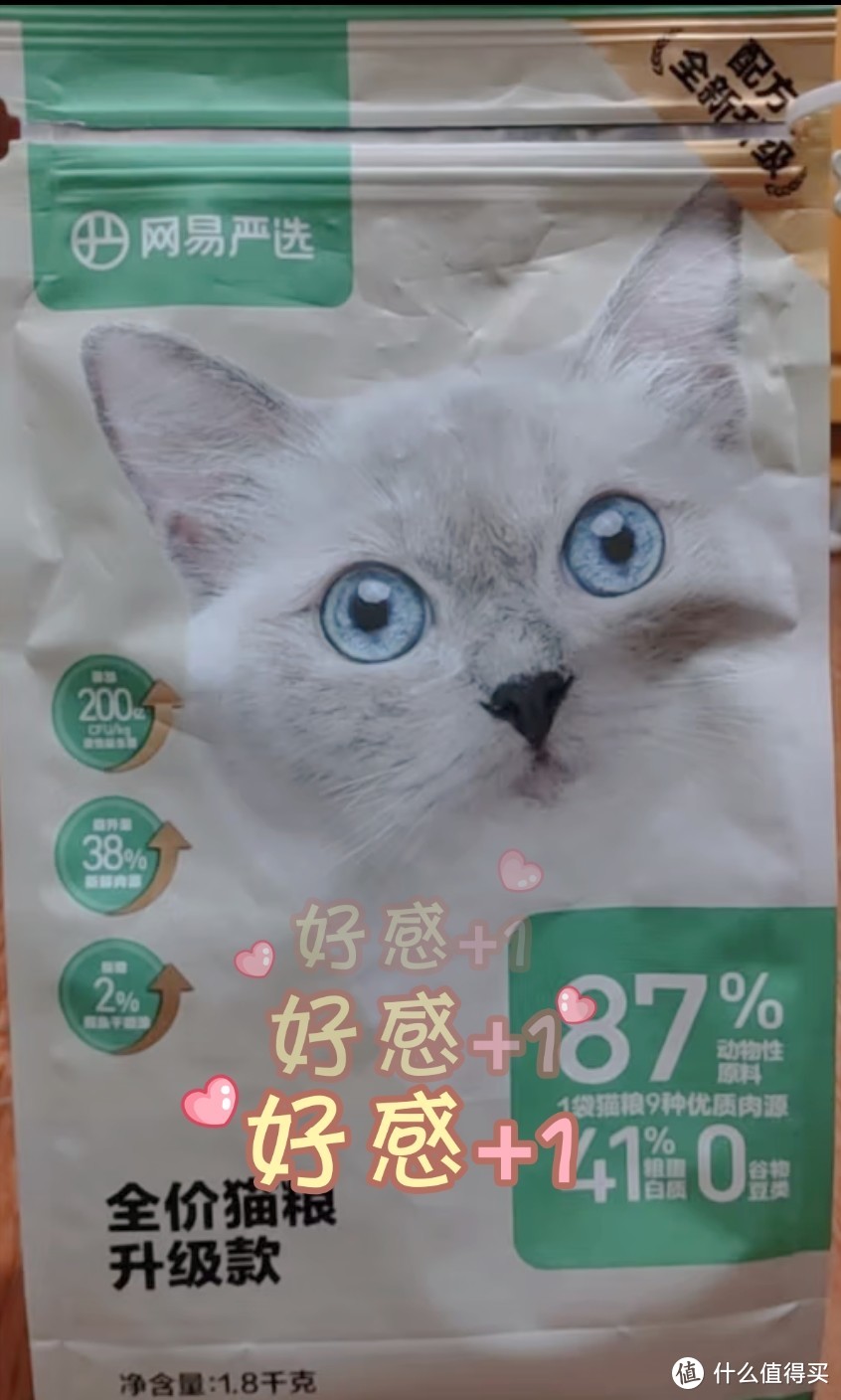 养猫家庭必备的几种好物