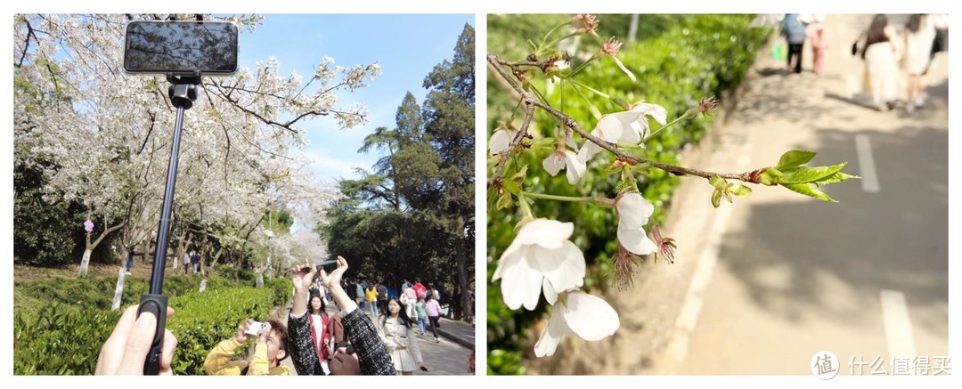 自拍杆助你获得更高视角，创造更多构图的可能性，拍视频也很好。