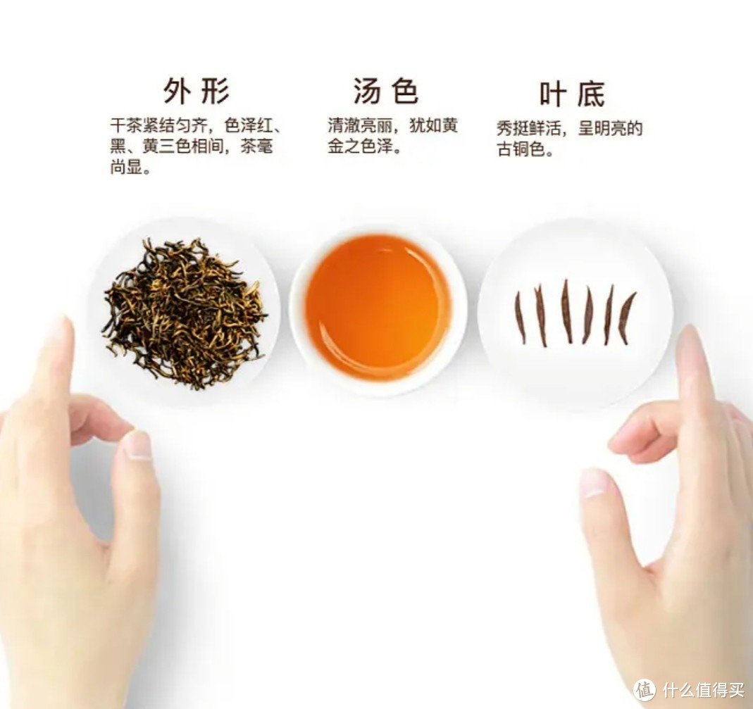 饮茶指南‖春日上新，看看有哪些值得入手的红茶，带你深入了解红茶