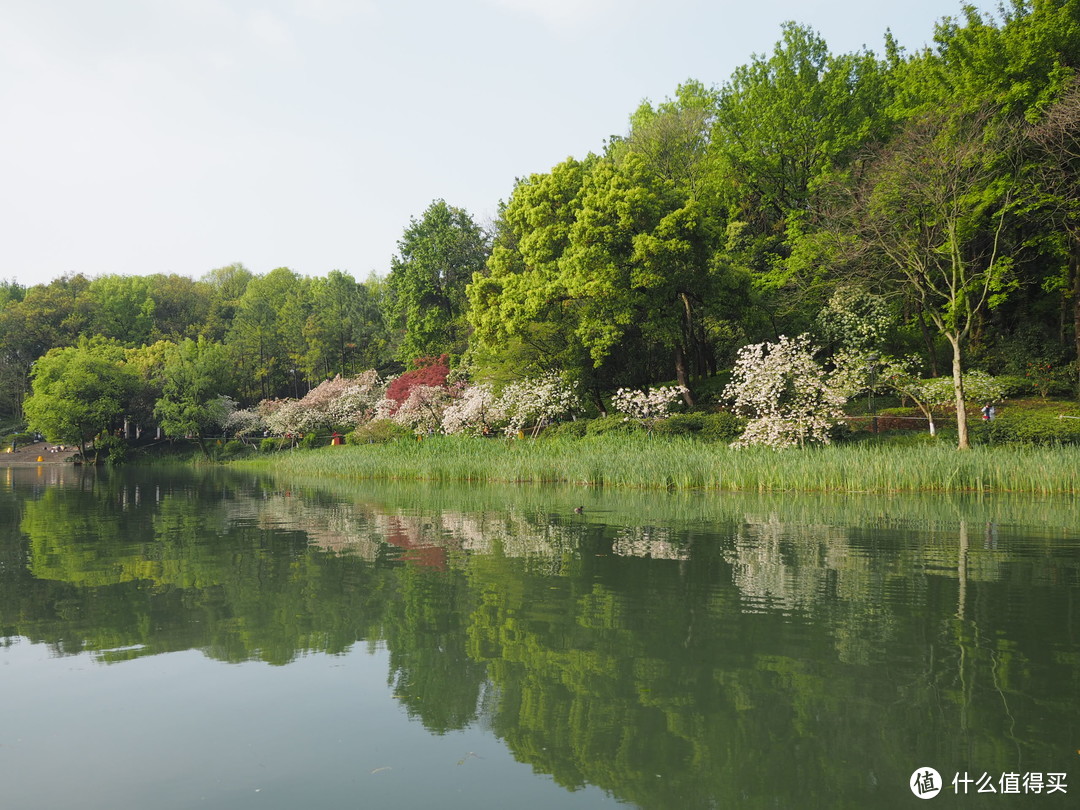 说走就走的一家三口杭州苏州六日游记（上：杭州篇）