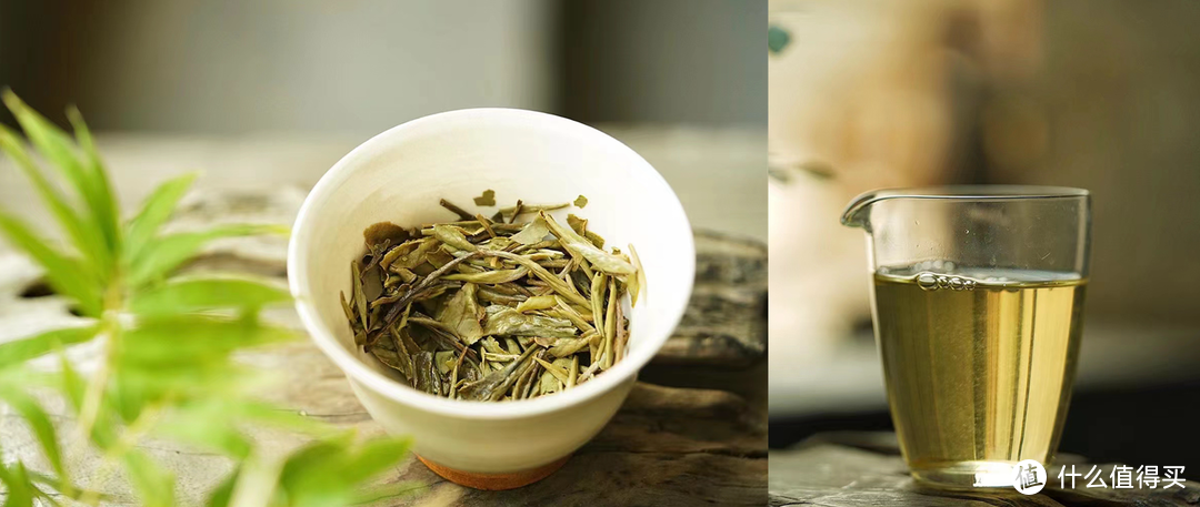白茶——最优雅的风味。一篇读懂白茶！