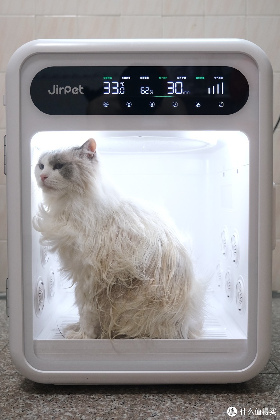 Jirpet F1宠物烘干箱，提高生活品质的可不止小主子