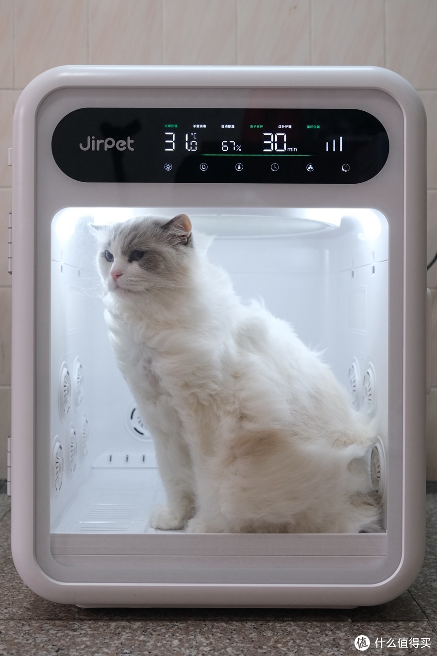 Jirpet F1宠物烘干箱，提高生活品质的可不止小主子