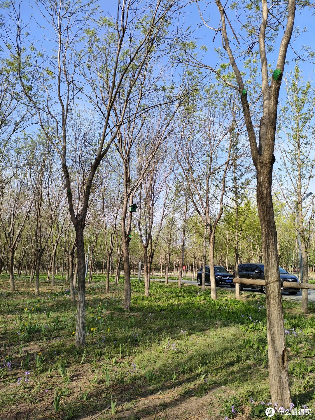 馬駒橋有個溼地公園你去過麼