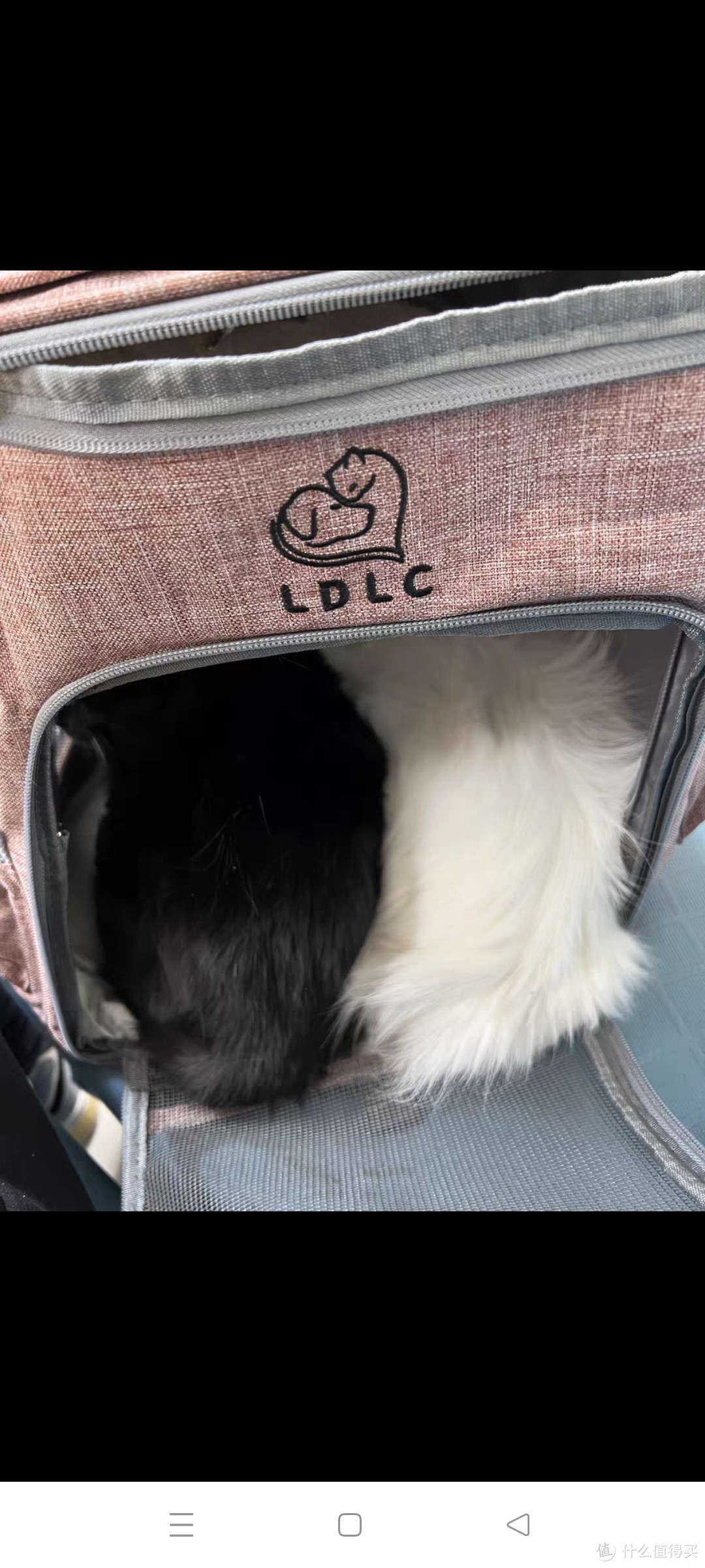 LDLC猫包外出两只宠物出行拉杆箱便携透气狗狗背包兔子外带双肩包