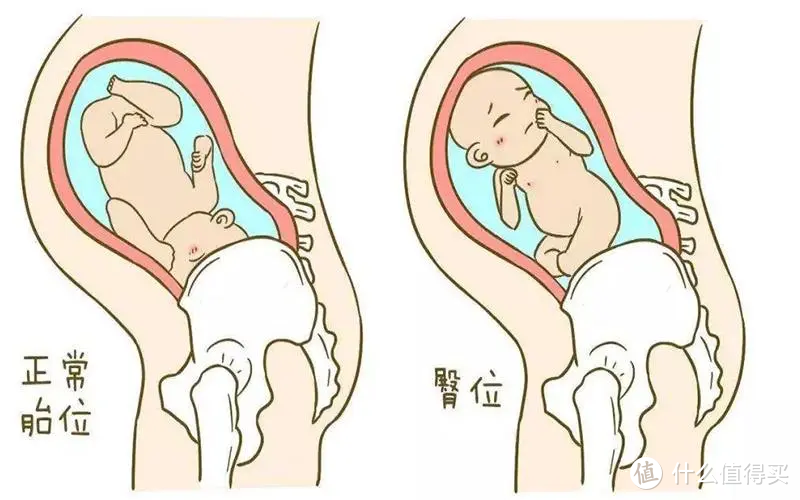 人类幼崽养成计划：从怀孕到出生的那些注意事项