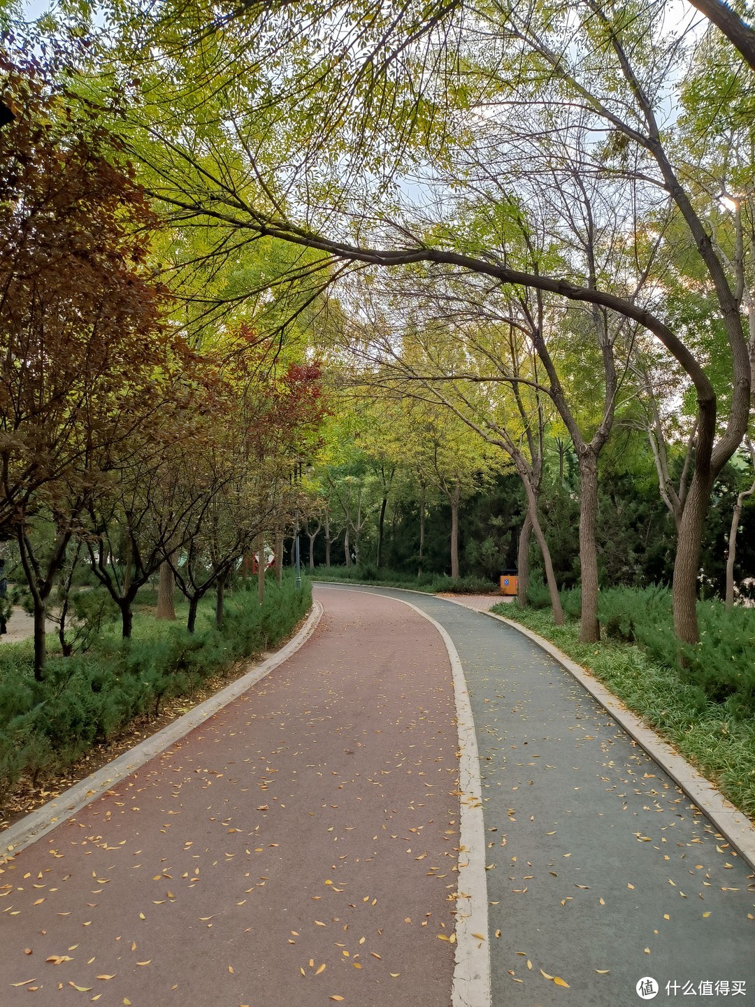 长河公园内的自行车道和跑道