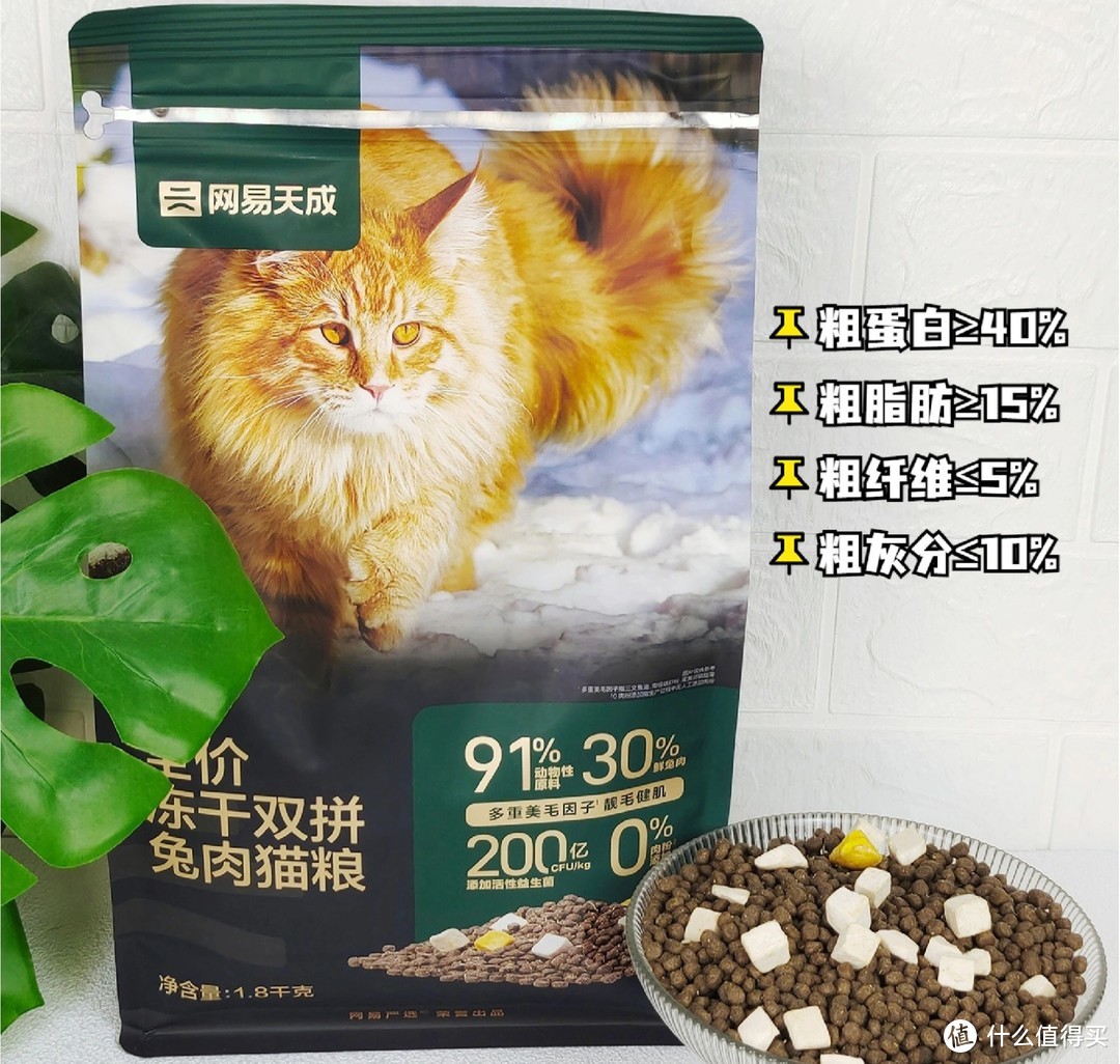 六款国产猫粮评测！看谁才是国产猫粮之光
