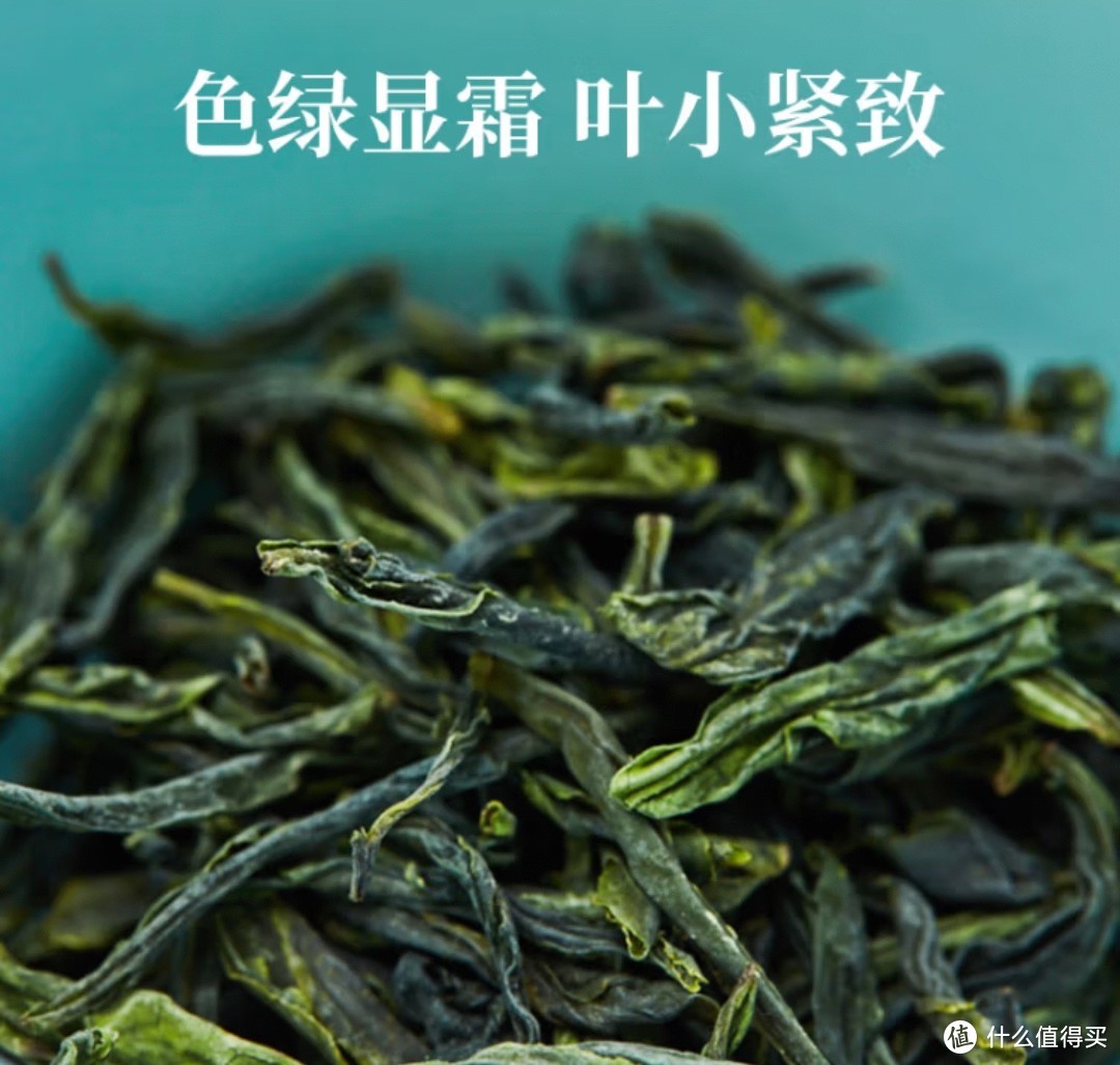 小白买绿茶（一）——跟着国标买，总是不会错的