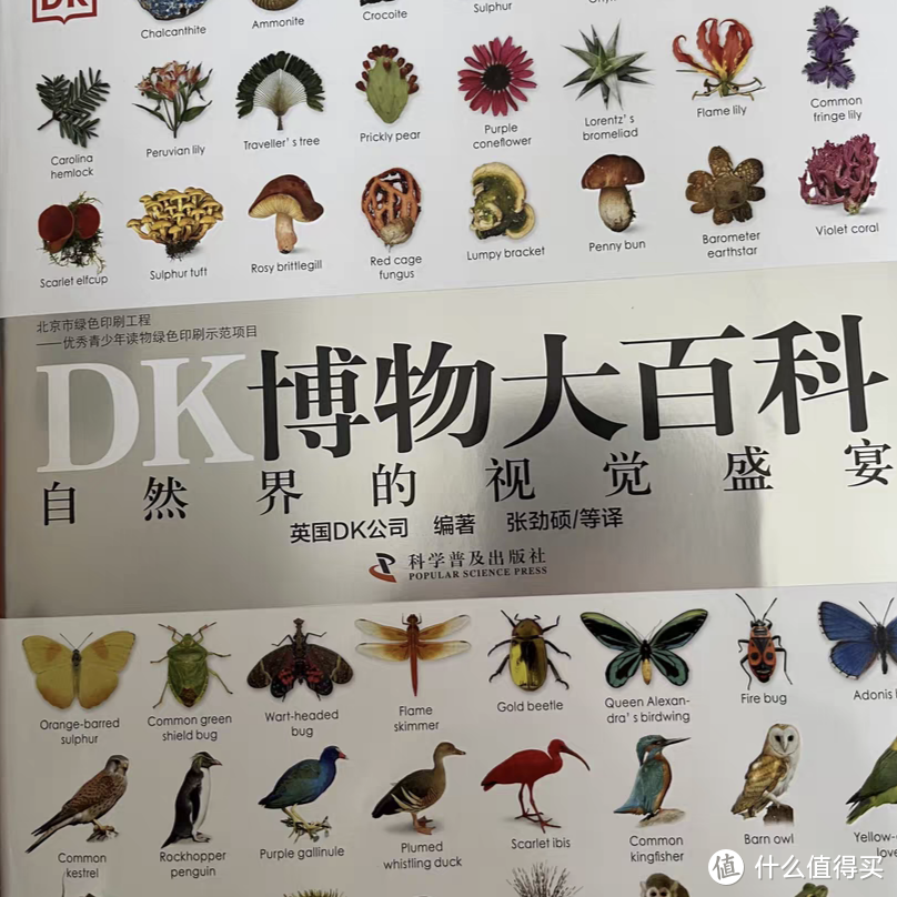 值得阅读一生的百科全书，《DK博物大百科》