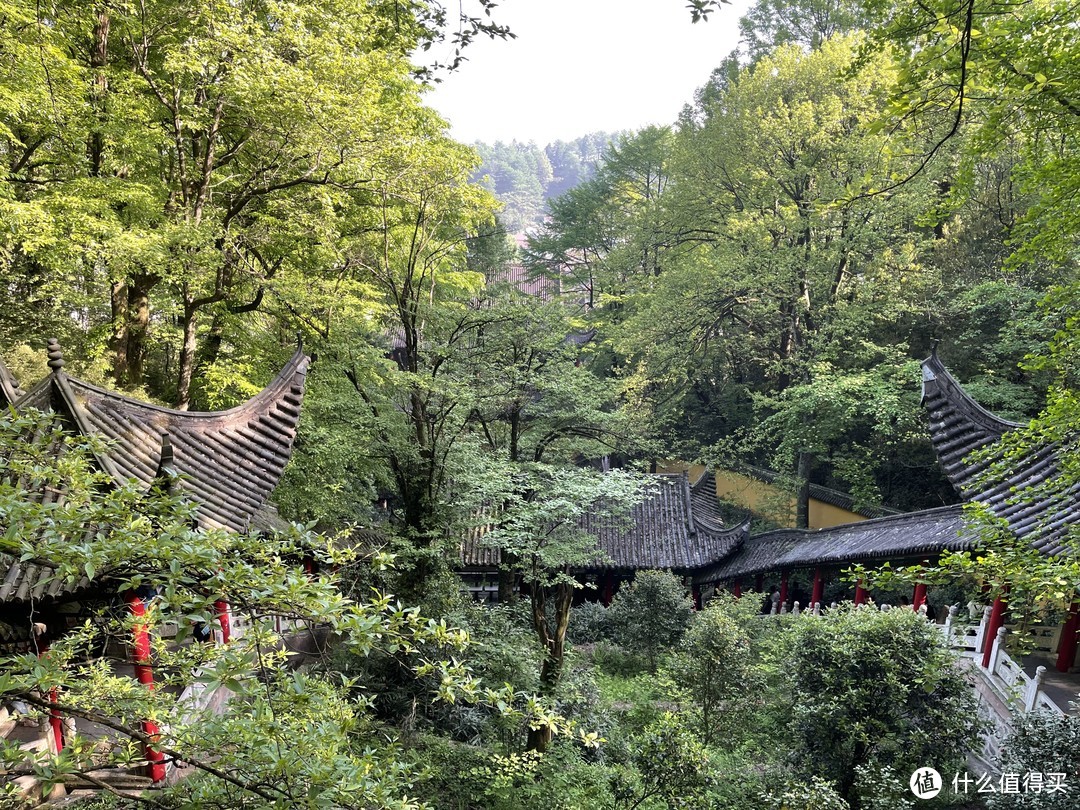 安徽九华山旅游，避坑指南！