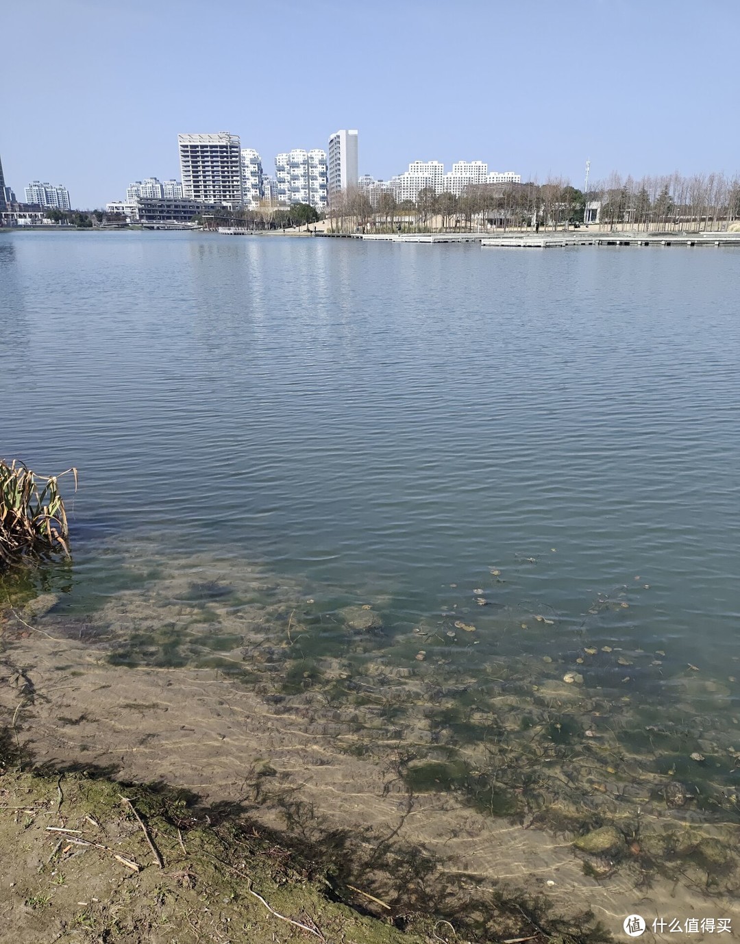 钓鱼露营好去处——上海西最大人工湖“远香湖”