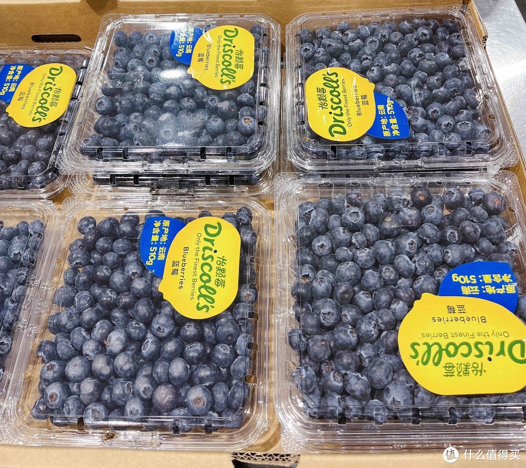 【水果推荐】蓝莓