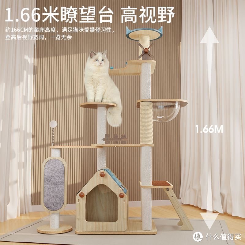 喵星人自己也能拥有了大型的猫咪游乐场所