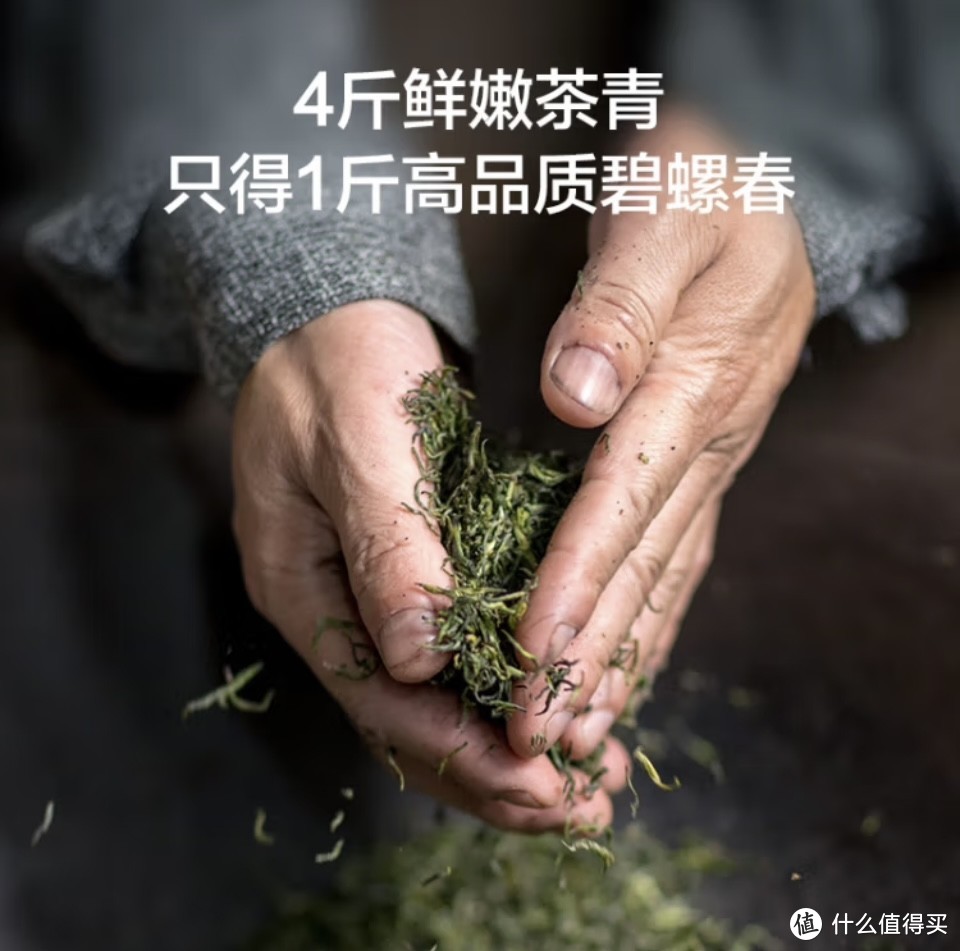 饮茶指南，新茶碧螺春上市了