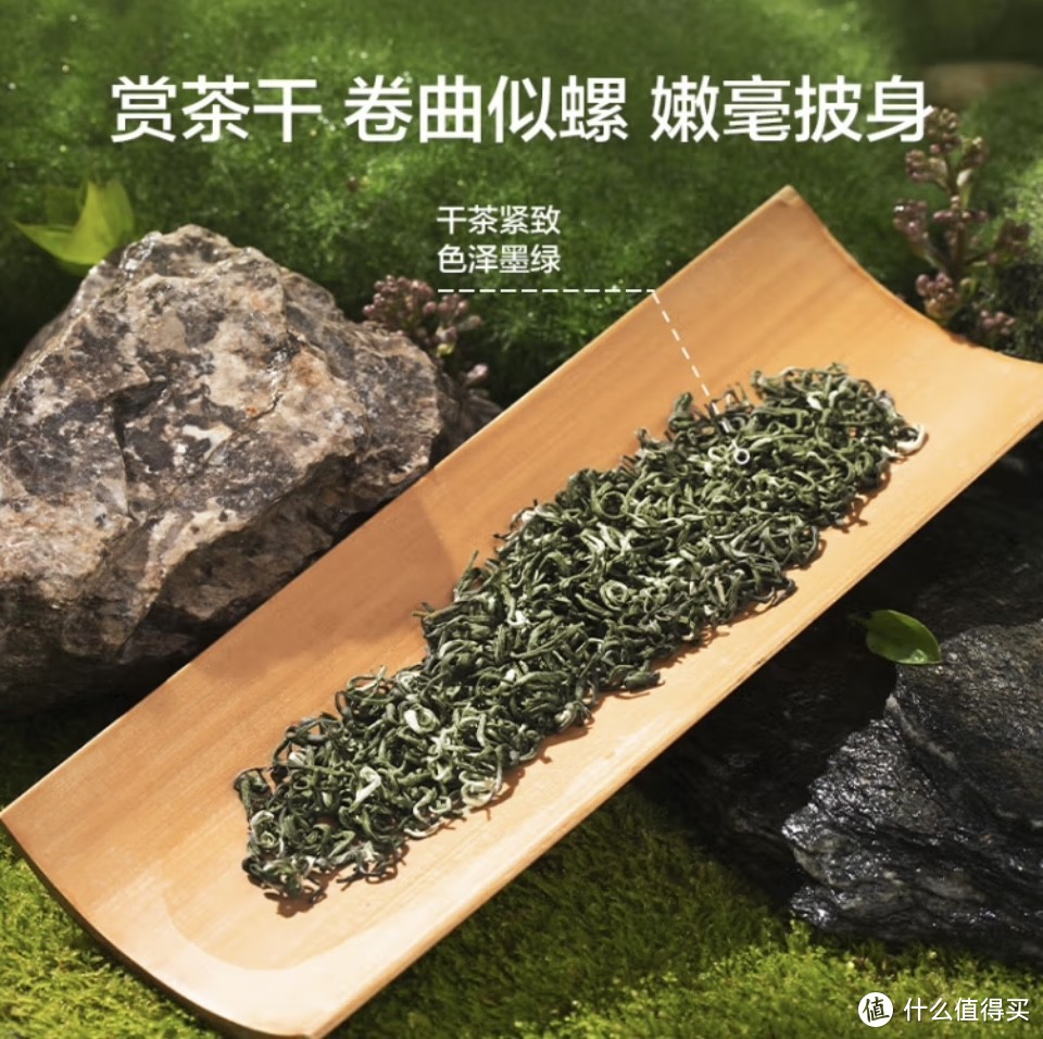 饮茶指南，新茶碧螺春上市了