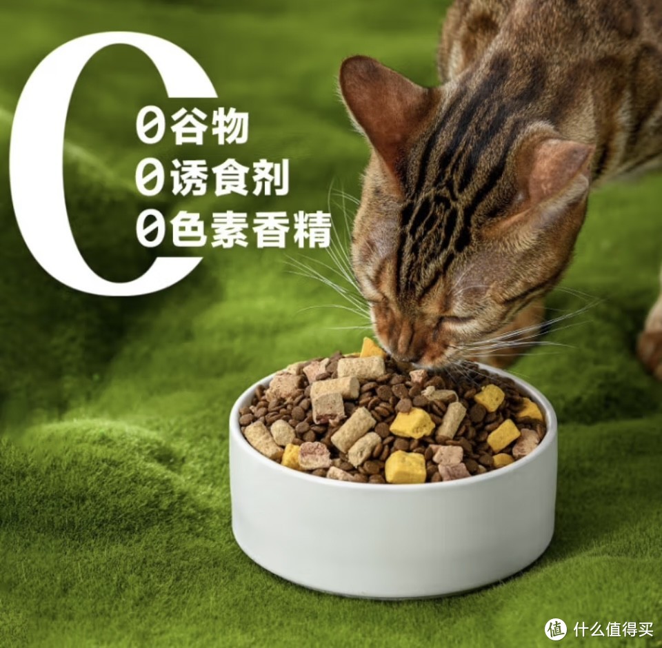 养猫猫，猫主子必备的猫粮选对了吗？
