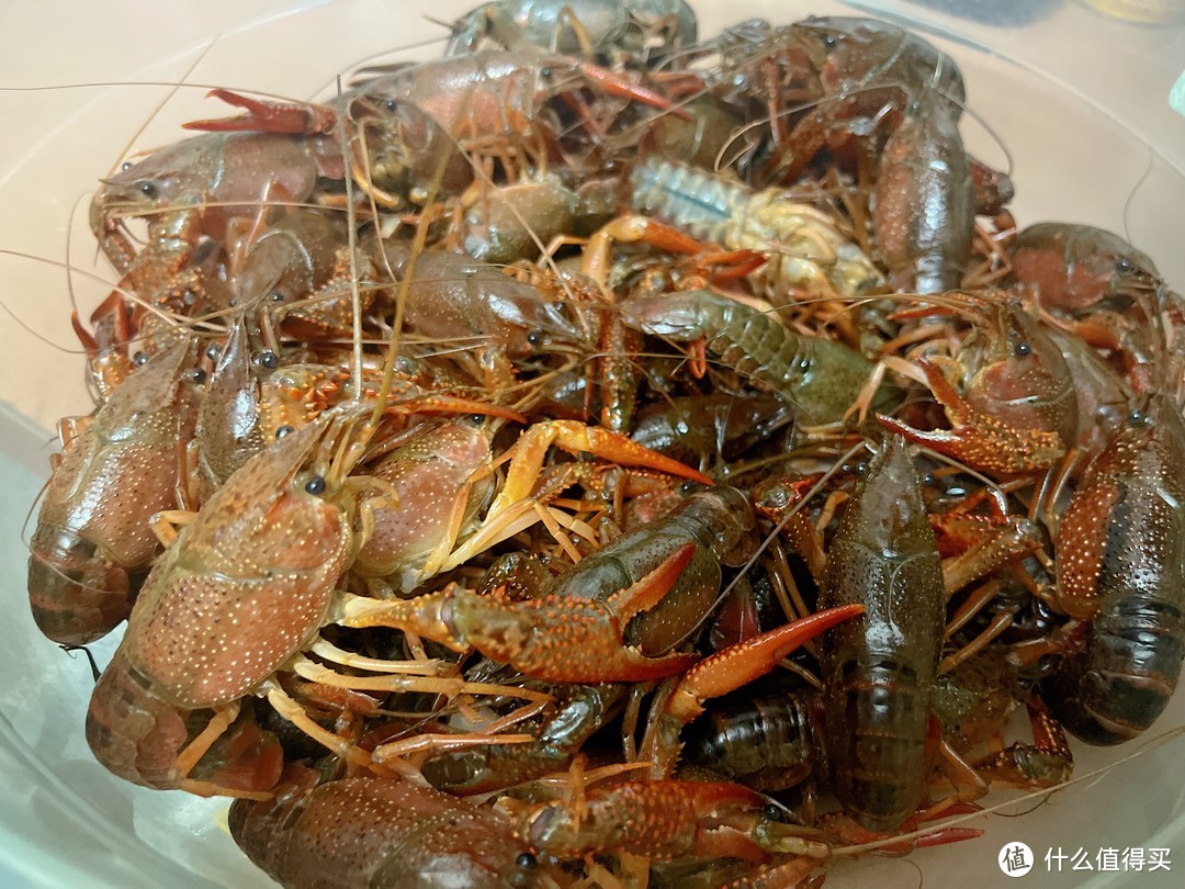 🦞🦞🦞蒜蓉小龙虾，走起🤭🤭🤭