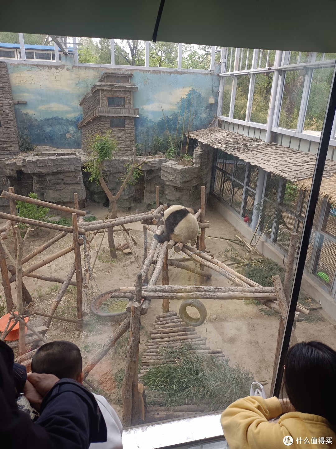 【开启探索之旅，畅游北京西直门动物园】—探究门票价、开放时间和景点介绍