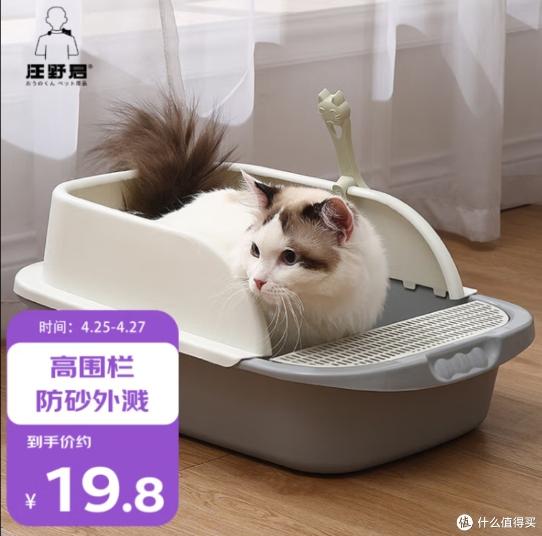 家庭养猫所需要到的好装备