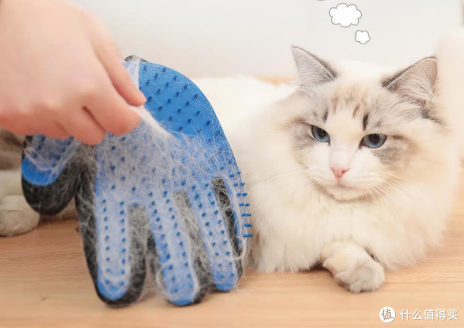 家里猫毛肆虐，该如何是好？