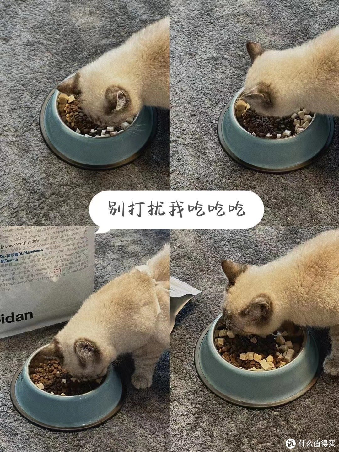 618快给自己猫主子囤粮吧！