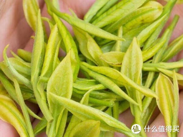 爱喝绿茶的你，是否知道极白白茶，味道是有些不同的