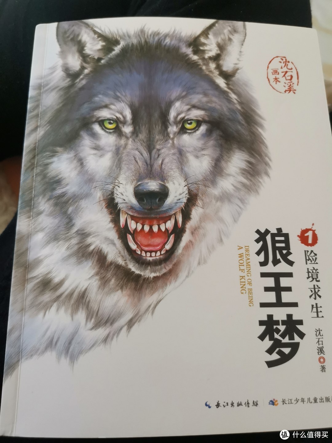 推荐一款适合小学生阅读的书籍《狼王梦》