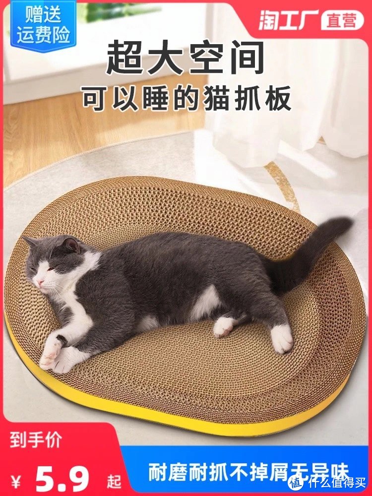 猫猫真的很幸福，可以睡的猫抓板快来给自家小猫准备一个吧！
