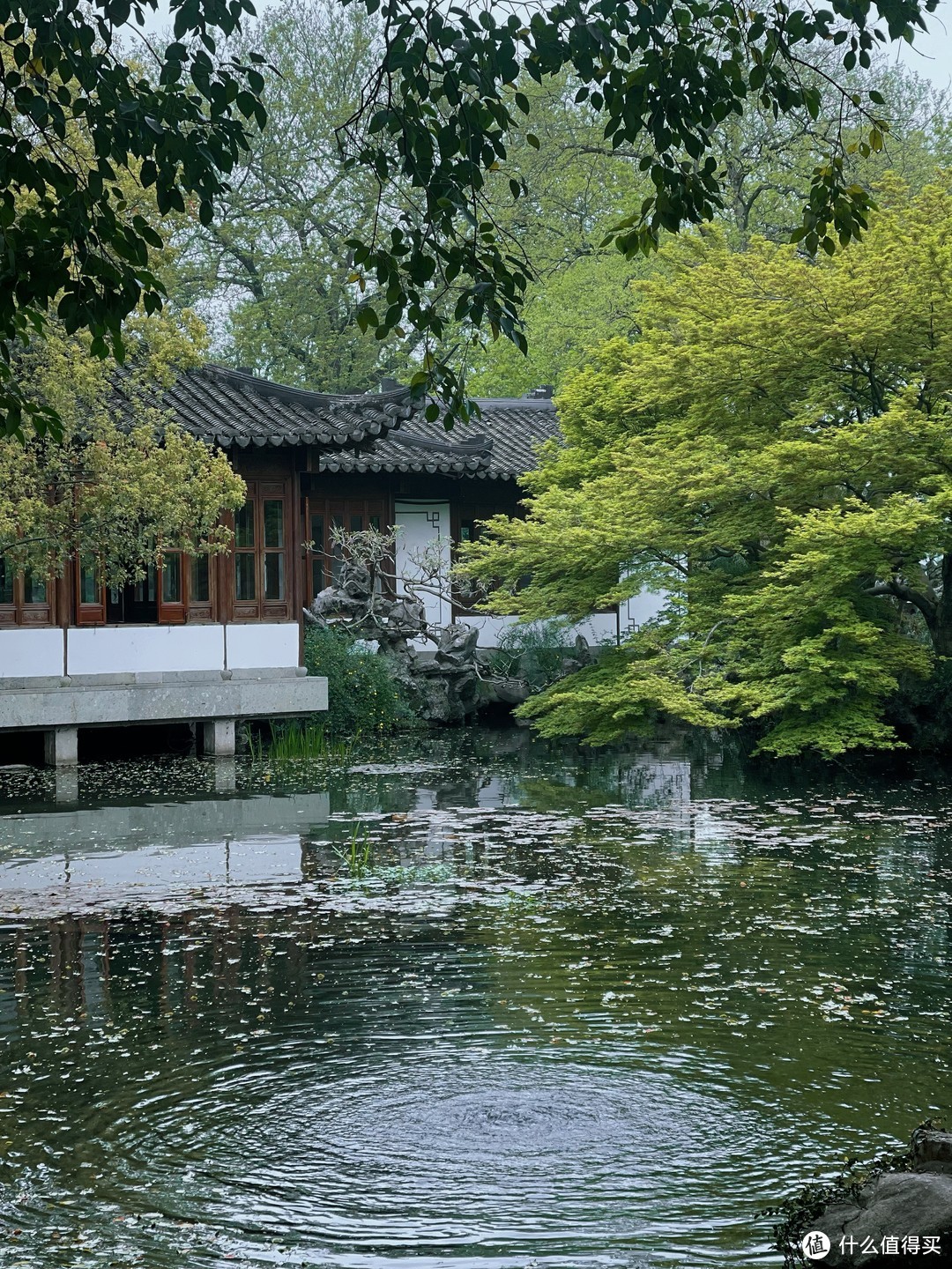 杭州小众景点 | 没来过郭庄，不算到过西湖