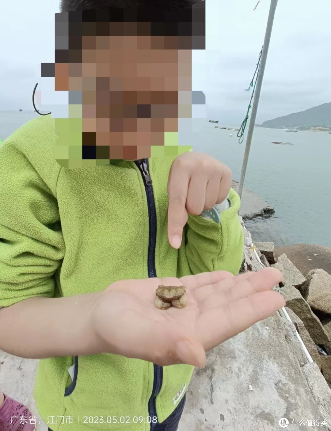 石头蟹