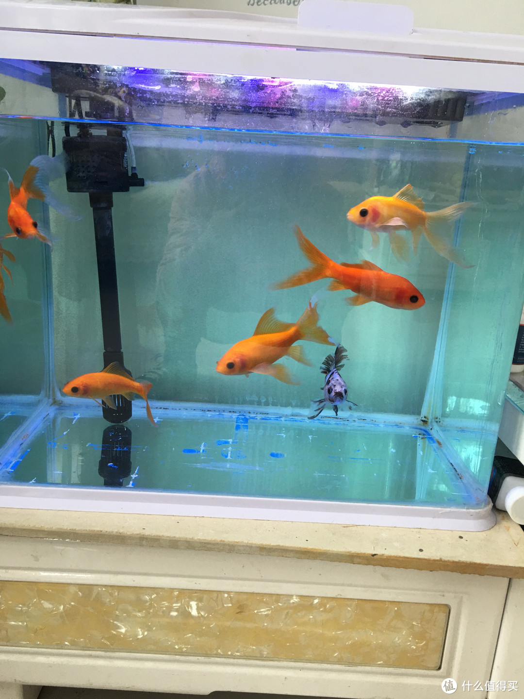 超白鱼缸玻璃桌面客厅生态养鱼水草缸
