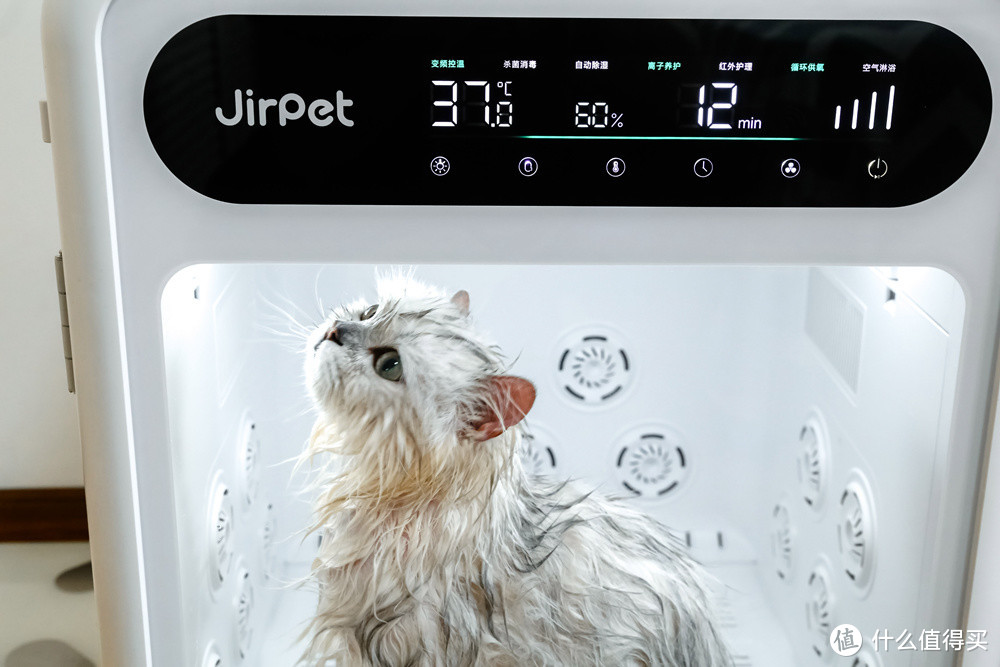 铲屎官集合啦：烘干箱不止需求高效快干和大空间？Jirpet F1入手体验有话要说！
