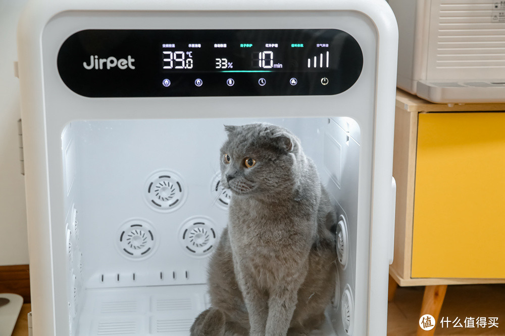 铲屎官集合啦：烘干箱不止需求高效快干和大空间？Jirpet F1入手体验有话要说！