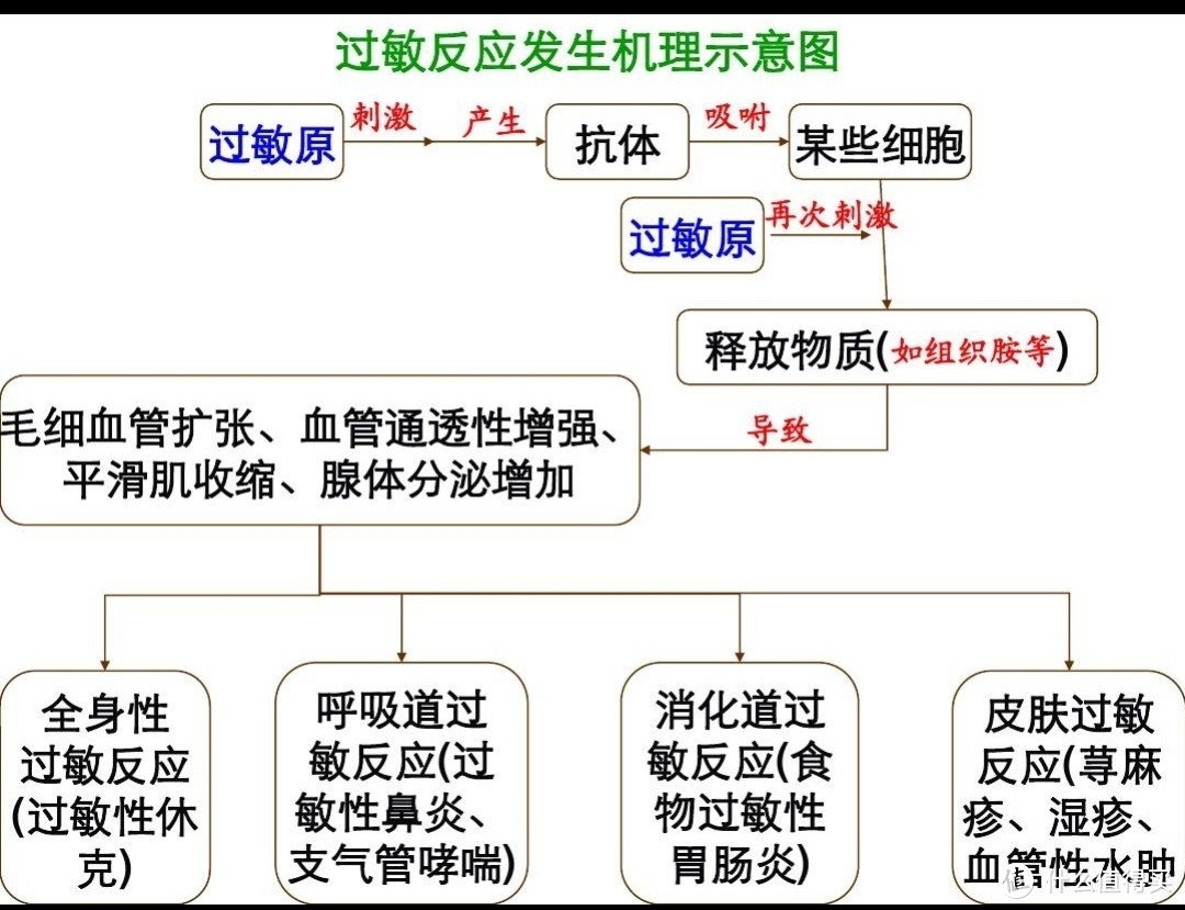 春季是一个爱过敏的季节