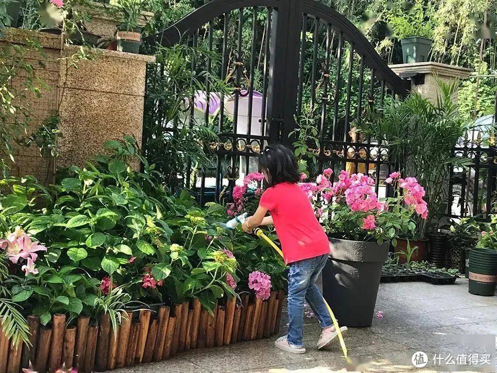 老两口退休回老家养老，养花种菜，住了3年，后悔不已