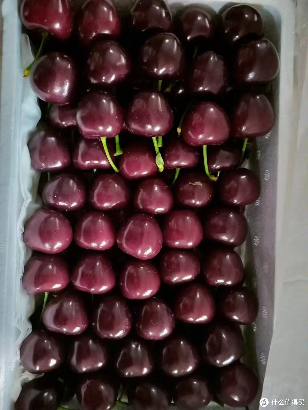 又大又红的大连美枣樱桃上市了国产的车厘子