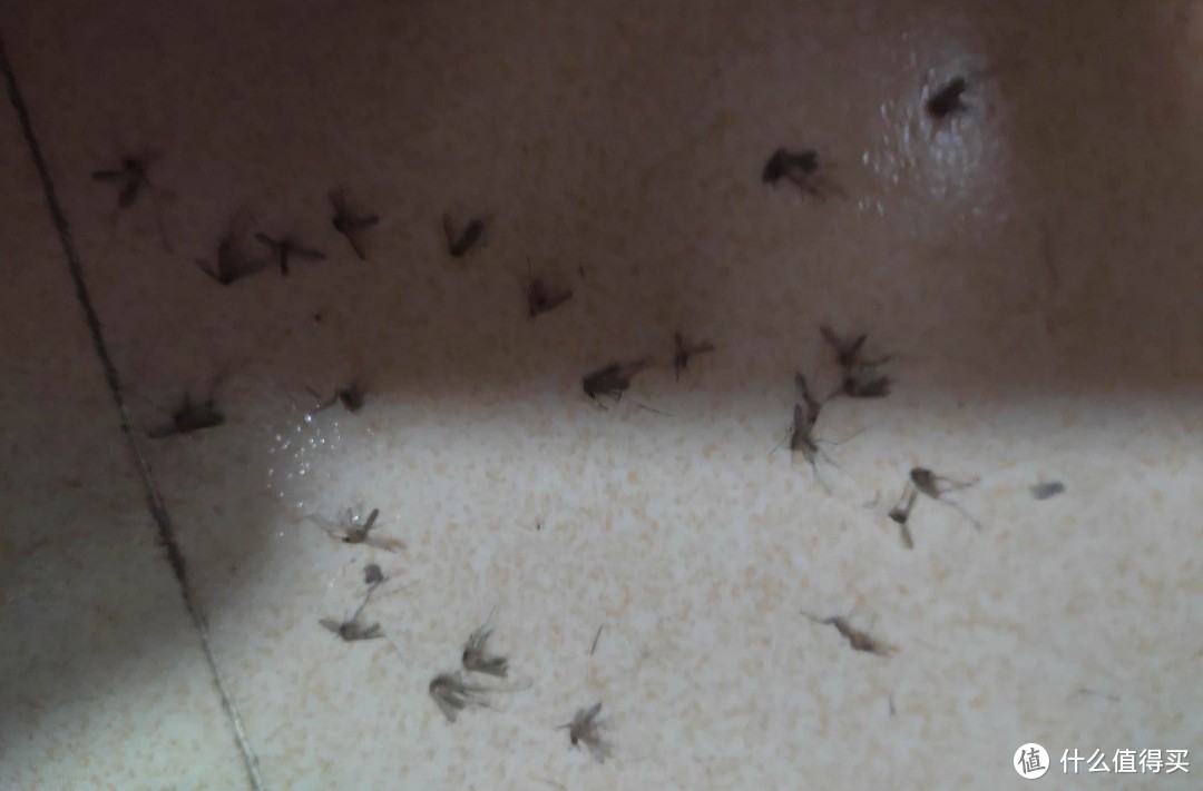 说到狙击蚊子，还是电蚊拍灵活机动！