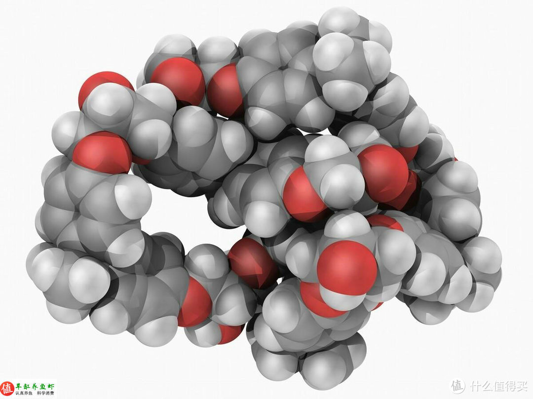 树脂的分子模型