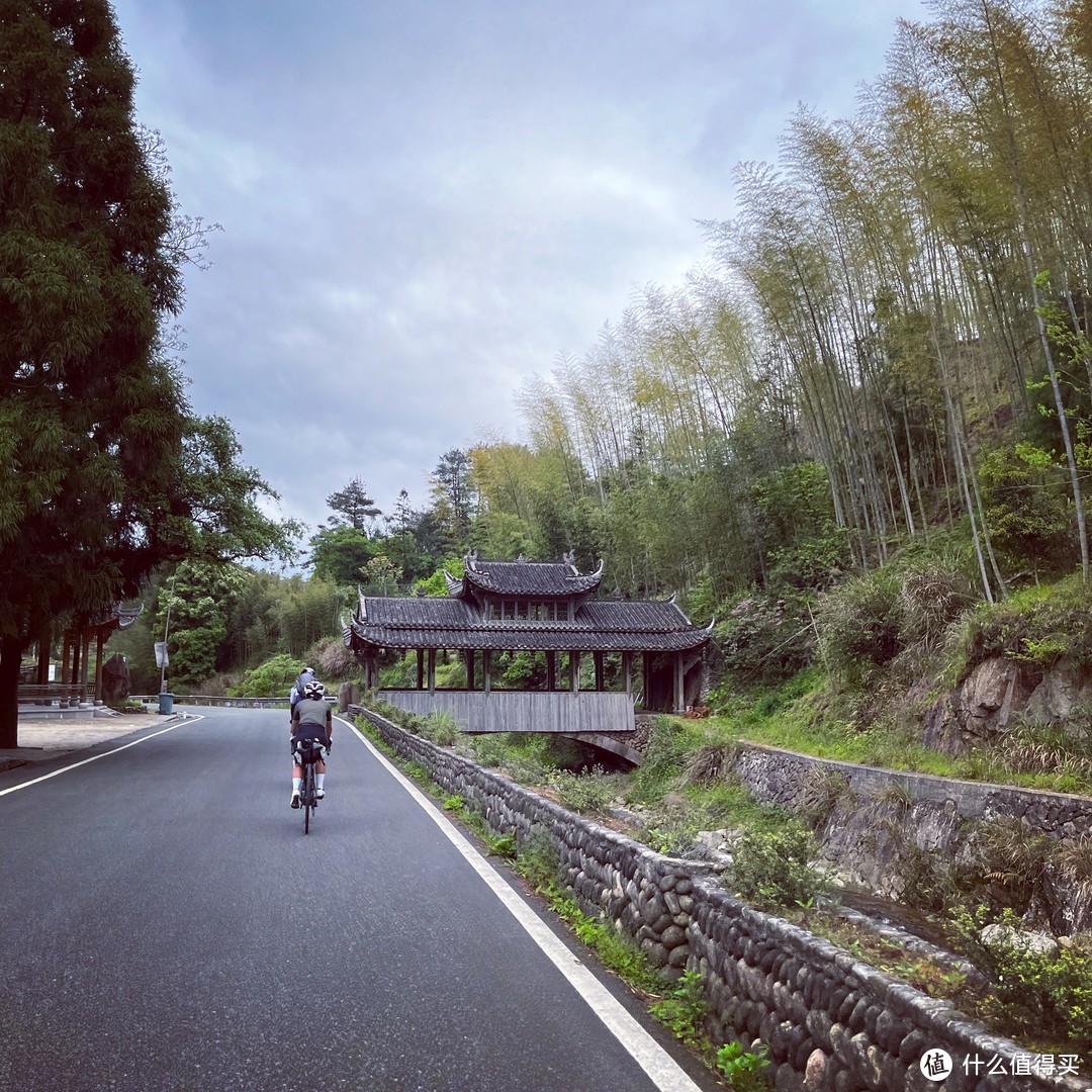 雾闯龙泉山，夜探时思寺，丽水不愧浙江山路骑行天花板！