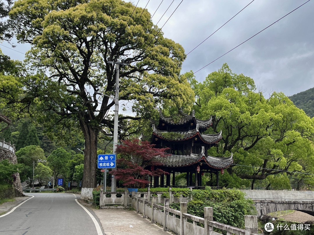 雾闯龙泉山，夜探时思寺，丽水不愧浙江山路骑行天花板！