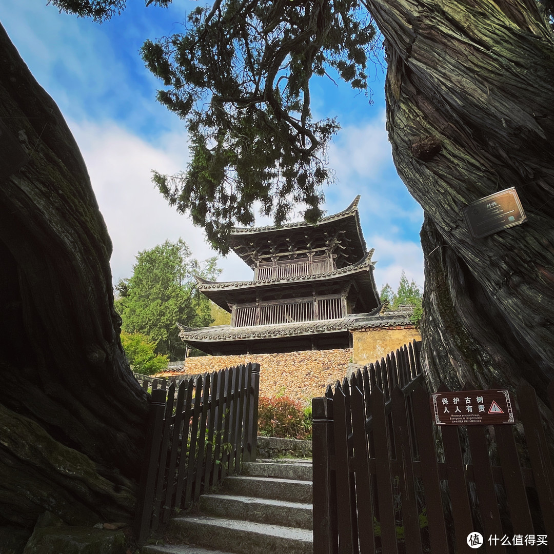 雾闯龙泉山，夜探时思寺，丽水不愧浙江山路骑行天花板！